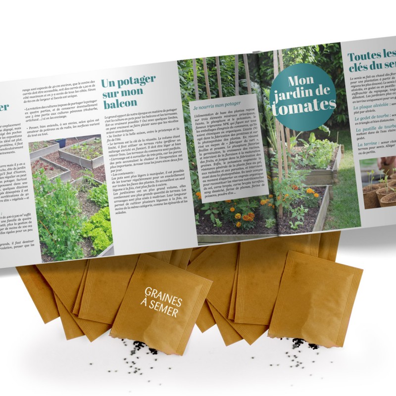 900 Graines Aromatiques - Lot 10 Sachets (Menthe, Thym, Romarin, Sauge...)