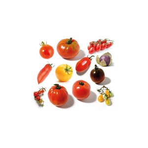 Coffret 12 sachets tomates anciennes