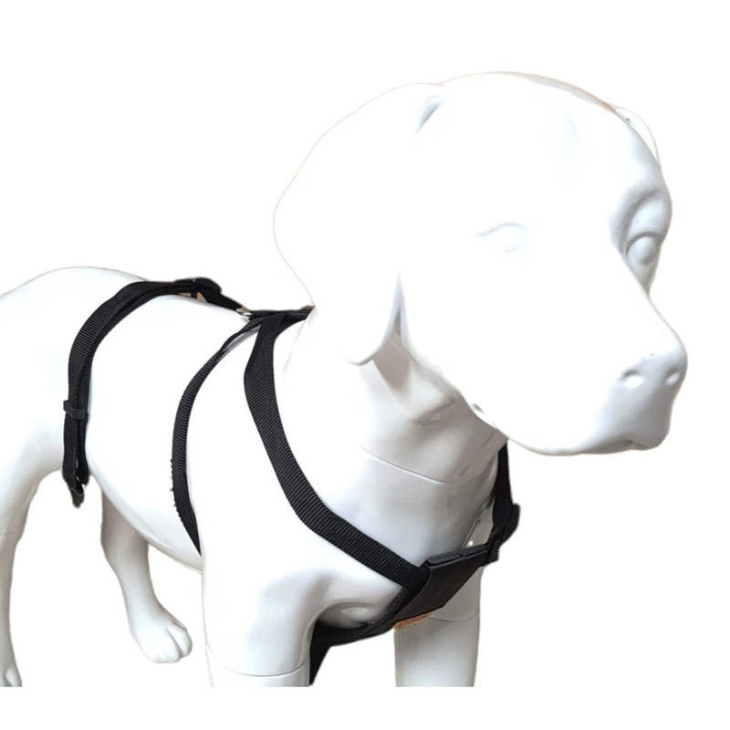 Animallparadise - Harnais de sécurité taille xl pour chie