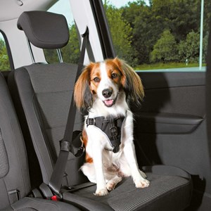 Harnais pour voiture dog confort s-m po