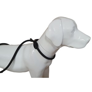Laisse aiden ø12 mm l170 cm anti tracti