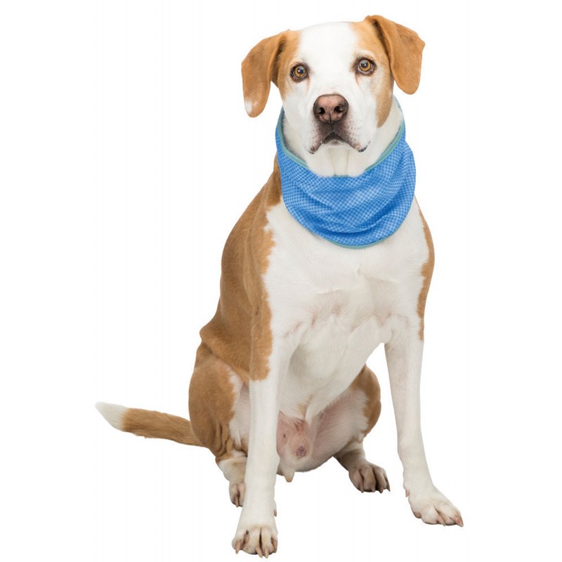 Trixie - Bandana rafraîchissant xl : 47-57 cm b
