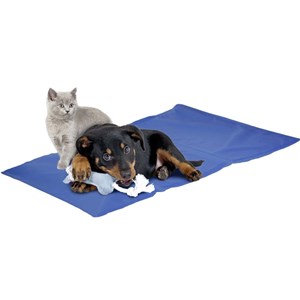 Tapis rafraîchissant fresk pour chien.