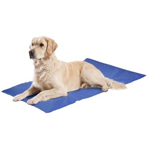 Tapis rafraîchissant fresk pour chien t