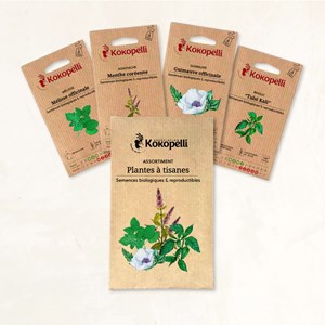 Plantes à tisanes - 4 sachets de graines
