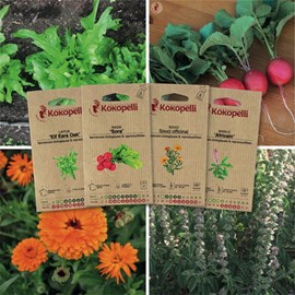 Potager du balcon - 4 sachets de graines