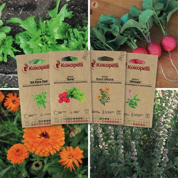 Potager du balcon - 4 sachets de graines
