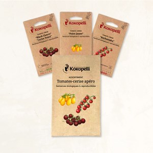 Tomates cerise apéro - 3 sachets bio