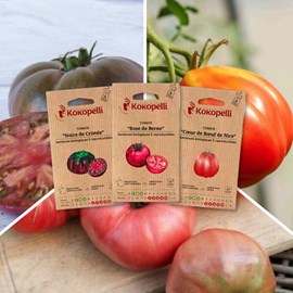 Tomates savoureuses - 3 sachets bio