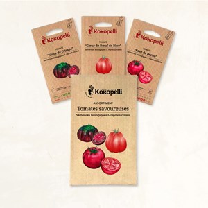 Tomates savoureuses - 3 sachets bio