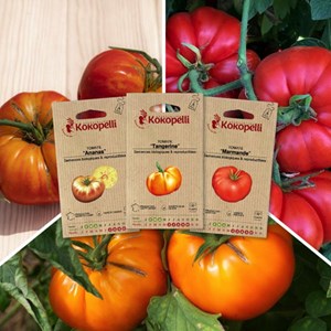 Tomates pour conserves - 3 sachets bio