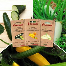 Courgettes colorées - 3 sachets bio