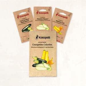 Courgettes colorées - 3 sachets bio