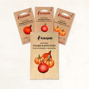 Courges à petits fruits - 3 sachets bio