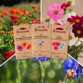 Fleurs comestibles - 3 sachets de graine