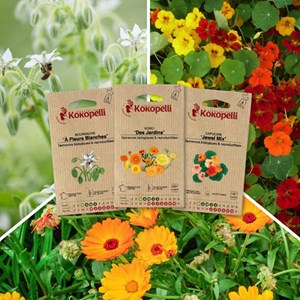 Fleurs comestibles - 3 sachets de graine