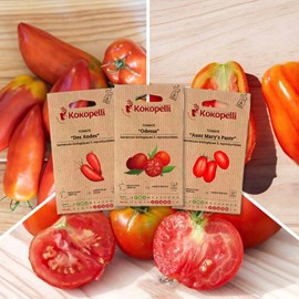 Tomates pour coulis - 3 sachets bio