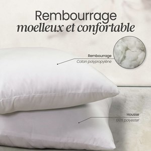 2 oreillers garnissage - 60 x 60 cm