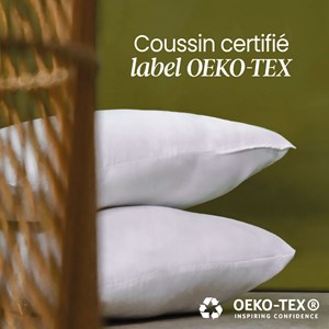 2 oreillers garnissage - 60 x 60 cm