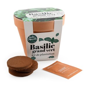 Pot terre cuite - basilic grand vert