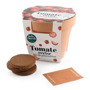 Pot terre cuite - tomate cerise bio