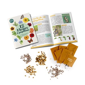 Graines jardin à papillons - 12 variétés