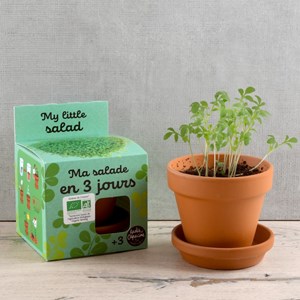 Kit jardinage enfant - salade bio