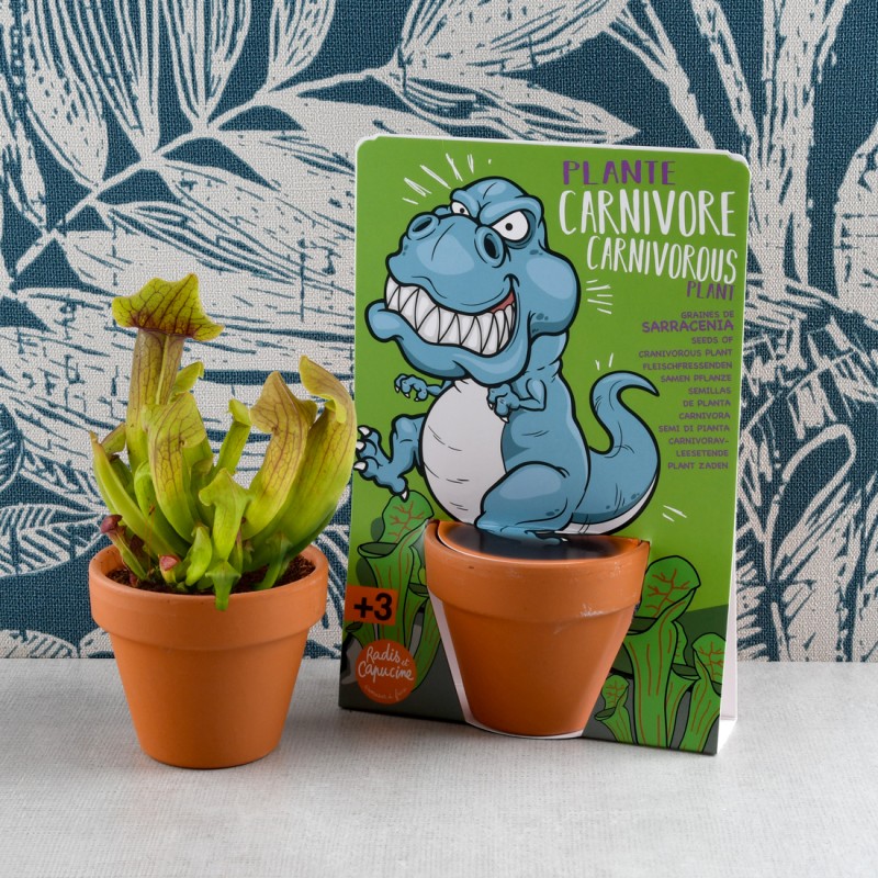 Kit Débutant Plantes Carnivores Exotenherz - 3 Plantes + Terre Spéciale - Dionée, Drosera, Pinguicula
