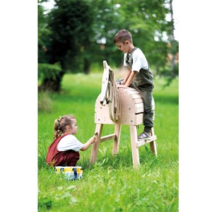 Kit de soins pour chevaux