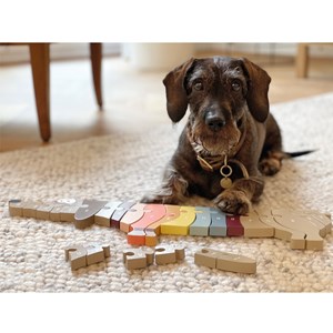 Puzzle de lettres chien