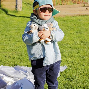 Peluche sanglier 13cm - dani c