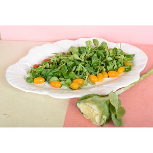 Plat ovale blanc en mélamine