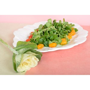 Plat ovale blanc en mélamine