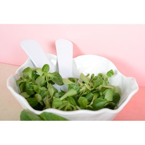 Couverts a salade blanc en melamine 27x9