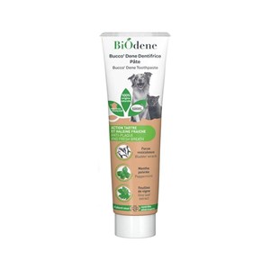 Dentifrice naturel chien chat