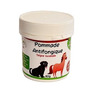 Pommade antifongique naturelle chien