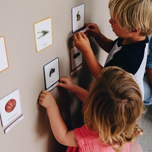 Giga mondy, 600 cartes montessori