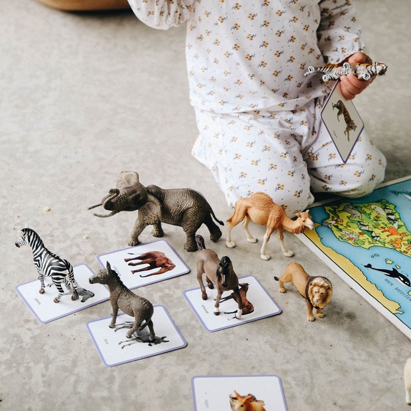 Mini-mondy, jeu de langage et lecture (Observe Montessori) - Image 3