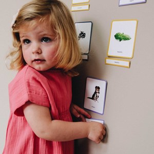 Mini-mondy - 90 cartes maison - langage