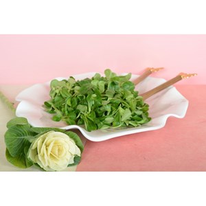 Assiette de présentation rose en mélamine