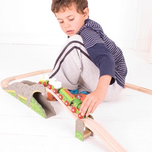 Pont de dinosaures bronto riser
