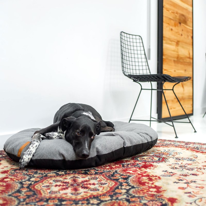 Rexproduct - Pemea, coussin chien tissu gris clair l