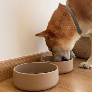 Skal, gamelle de voyage pour chien taupe