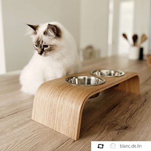 Gero, gamelle surélevée en bois chêne S