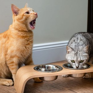 Gero, gamelle surélevée en bois chêne S