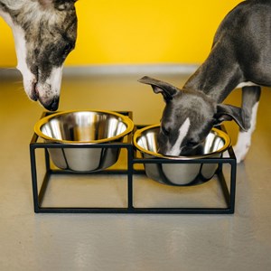 Kum, gamelle surélevéee en métal noir s