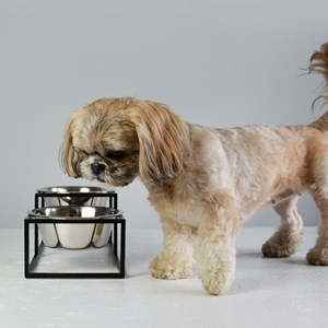 Kum, gamelle surélevéee en métal noir s