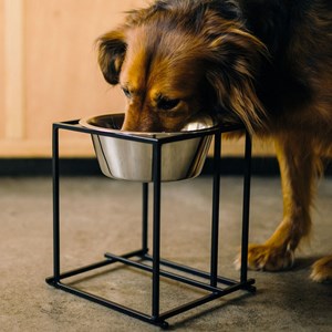 Arum, gamelle surélevée en métal noir m