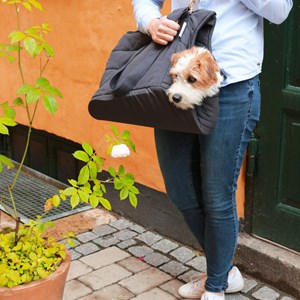 Hvor, sac transport pour chien gris l