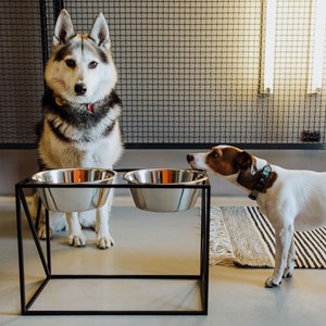 Yumi, gamelle surélevée en métal noir l